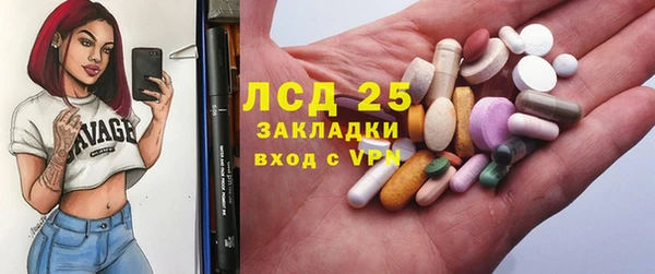 дживик Кирсанов