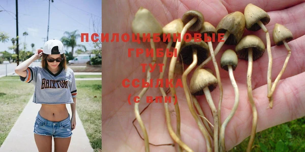Альфа ПВП Осинники
