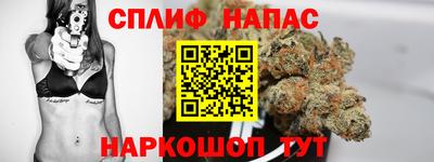 тгк Гатчина