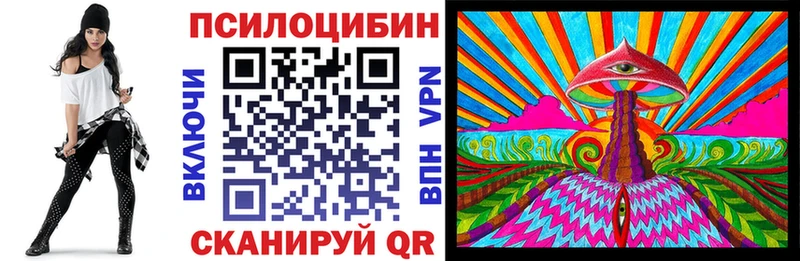 Галлюциногенные грибы Psilocybe  Кузнецк 