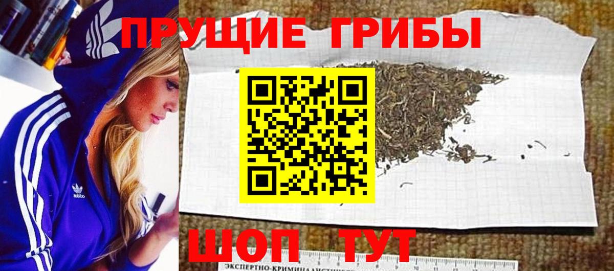 Галлюциногенные грибы Magic Shrooms Кузнецк
