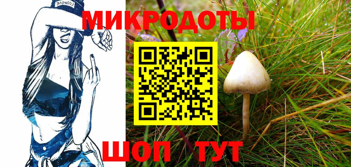Псилоцибиновые грибы Psilocybine cubensis Кузнецк