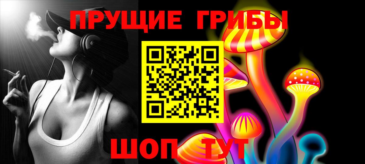 Псилоцибиновые грибы прущие грибы  Кузнецк 